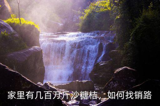 家里有幾百萬斤沙糖桔，如何找銷路