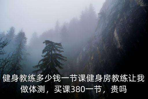 健身教練多少錢一節課健身房教練讓我做體測，買課380一節，貴嗎