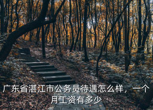 廣東省湛江市公務員待遇怎么樣，一個月工資有多少