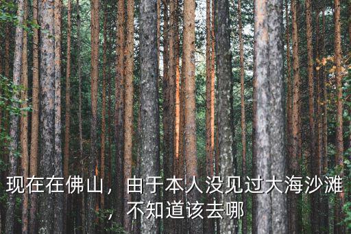 佛山七夕去哪里好,七夕最適合去的地方是哪里