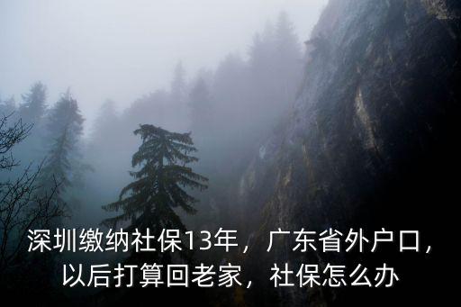 深圳社保交10年回老家怎么辦,深圳繳納社保13年