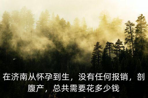 在濟南從懷孕到生，沒有任何報銷，剖腹產，總共需要花多少錢