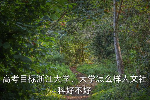 浙江大學人文社科實驗班多少分,人文社科好不好
