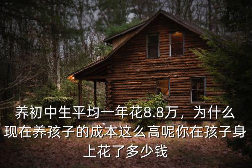 養初中生平均一年花8.8萬，為什么現在養孩子的成本這么高呢你在孩子身上花了多少錢