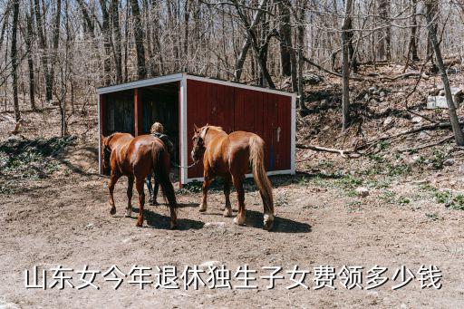 濟南退休獨生子女補貼多少,一次性獨生子女補貼有好幾萬