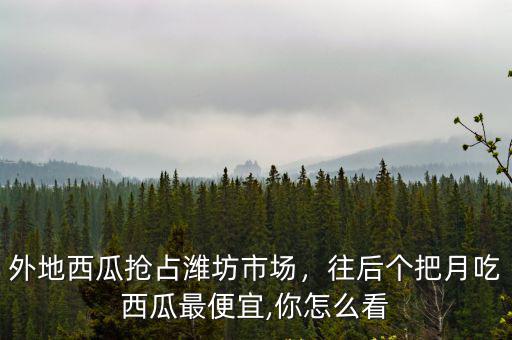 外地西瓜搶占濰坊市場，往后個把月吃西瓜最便宜,你怎么看
