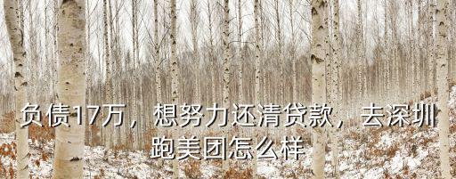 負債17萬，想努力還清貸款，去深圳跑美團怎么樣