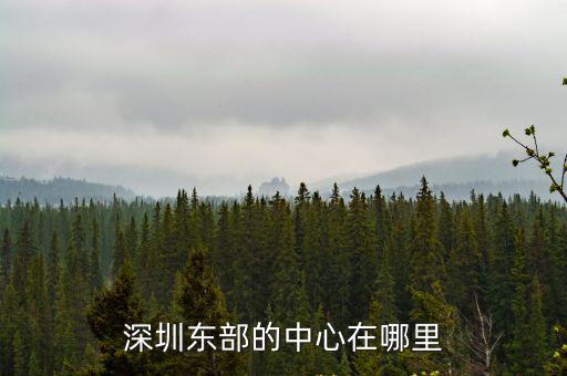 深圳福田龍華壹城中心在哪里,深圳東部的中心在哪里