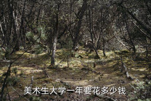 廣州大學(xué)美術(shù)畢業(yè)月資多少錢,美術(shù)生大學(xué)一年要花多少錢