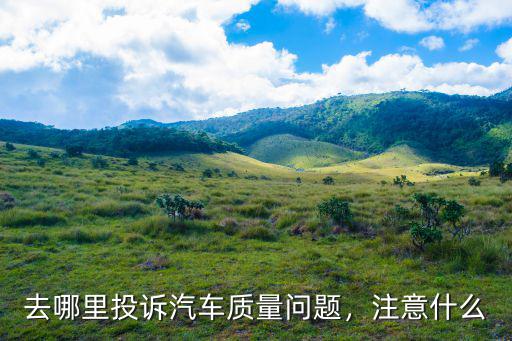 深圳汽車質(zhì)量問題在哪里投訴,汽車質(zhì)量問題去哪里投訴