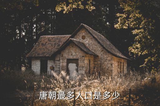唐朝杭州人口有多少人口,唐朝最多人口是多少