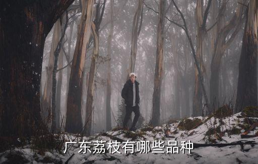 廣東荔枝有哪些品種