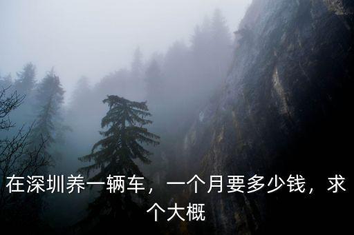 在深圳養(yǎng)一輛車，一個(gè)月要多少錢，求個(gè)大概