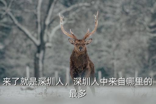 來了就是深圳人，深圳人中來自哪里的最多