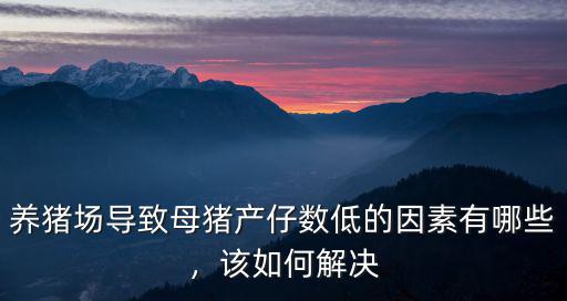 山東榮昌有多少母豬,什么是榮昌豬