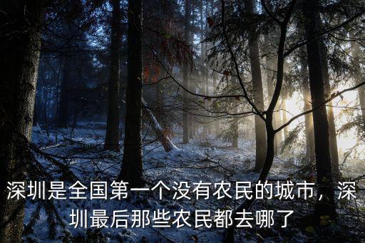 深圳是全國第一個沒有農民的城市，深圳最后那些農民都去哪了