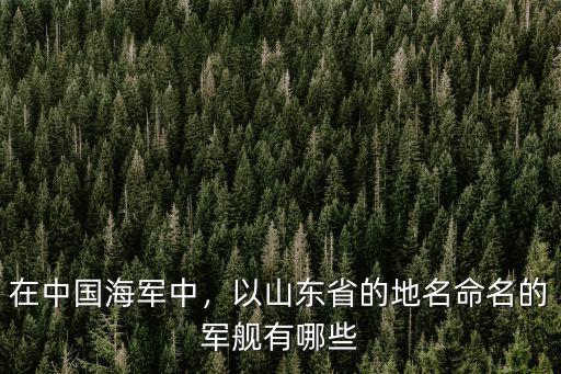 在中國海軍中，以山東省的地名命名的軍艦有哪些