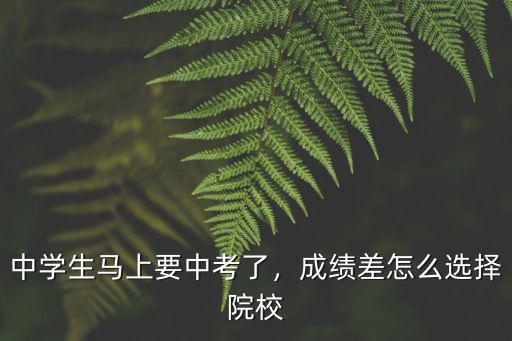中學生馬上要中考了，成績差怎么選擇院校