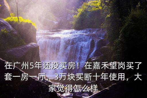 廣州嘉禾望崗哪里最便宜,在嘉禾望崗買了套一房一廳
