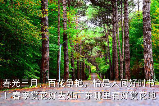春光三月，百花爭艷，恰是人間好時節(jié)！春季賞花好去處廣東哪里有好賞花地