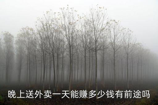 外賣哥在廣東一個月收入多少錢,福州送外賣一般一個月多少錢