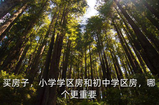 買房子，小學學區房和初中學區房，哪個更重要