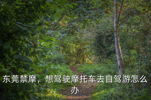 東莞禁摩，想駕駛摩托車去自駕游怎么辦