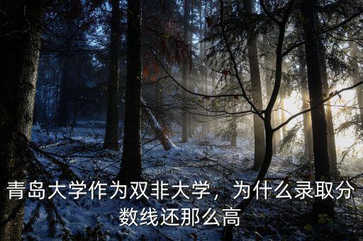 青島大學在浙江招多少分錄取分數線,青島大學作為雙非大學