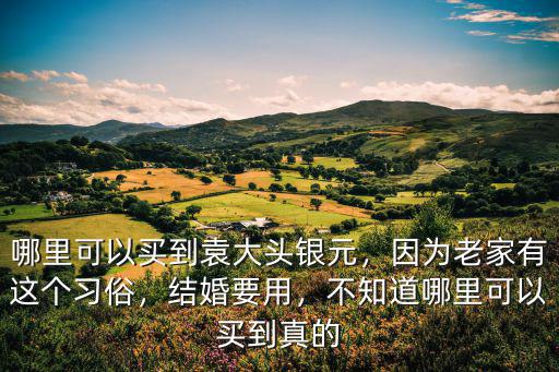 廣東哪里賣銀元,哪里可以買到袁大頭銀元
