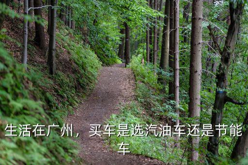 生活在廣州，買車是選汽油車還是節能車