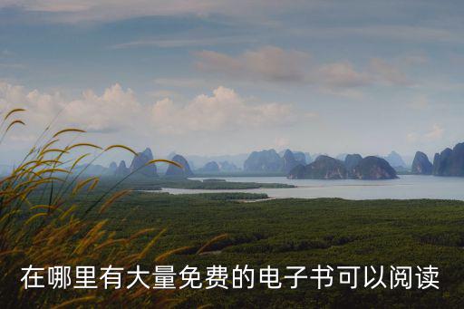 在哪里有大量免費(fèi)的電子書可以閱讀