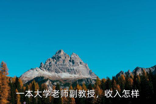 一本大學(xué)老師副教授，收入怎樣