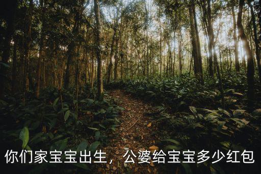 你們家寶寶出生，公婆給寶寶多少紅包