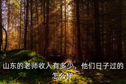 山東的老師收入有多少，他們日子過的怎么樣