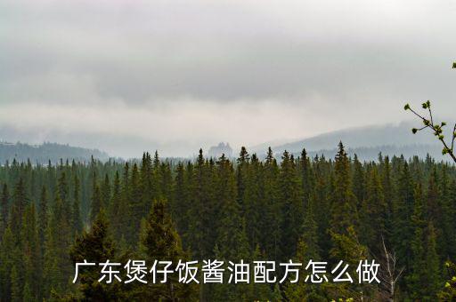 廣東煲仔飯醬油配方怎么做