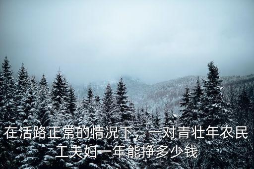 浙江夫妻一年收入多少,夫妻雙方都在體制內