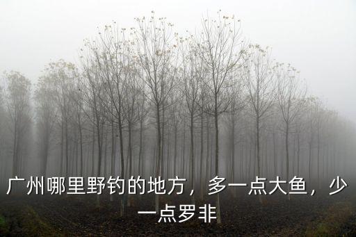 廣州哪里有羅非釣魚,廣州哪兒好釣魚