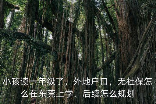 小孩讀一年級了，外地戶口，無社保怎么在東莞上學、后續怎么規劃