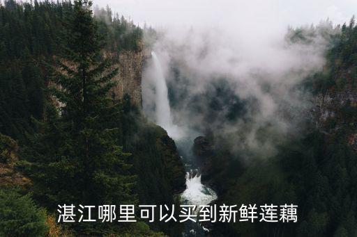 湛江哪里有新鮮涼草買(mǎi),湛江有什么特產(chǎn)
