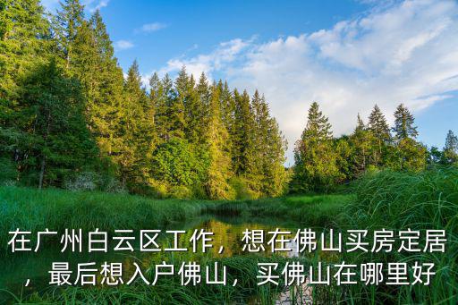 在廣州白云區工作，想在佛山買房定居，最后想入戶佛山，買佛山在哪里好