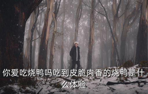 你愛吃燒鴨嗎吃到皮脆肉香的燒鴨是什么體驗
