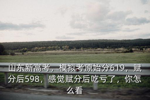 山東高考化學原始分50分賦分多少,模擬考原始分619