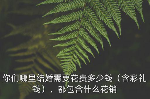你們哪里結(jié)婚需要花費(fèi)多少錢（含彩禮錢），都包含什么花銷