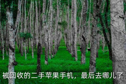 被回收的二手蘋果手機，最后去哪兒了
