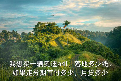 淄博買(mǎi)奧迪a4l多少錢(qián),如果走分期首付多少