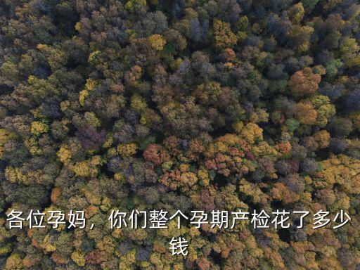 淄博市產(chǎn)檢花多少錢,你們整個孕期產(chǎn)檢花了多少錢