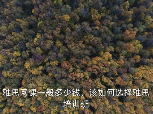 紹興雅思網(wǎng)課多少錢,雅思課一般需要多少錢