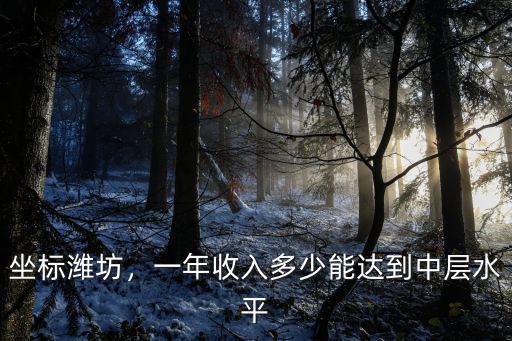 濰坊有多少豪車,臨沂和濰坊哪個好