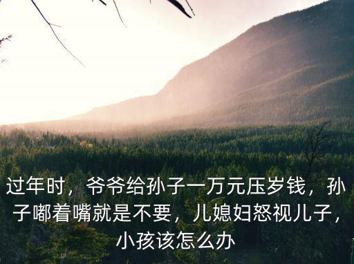 過年時，爺爺給孫子一萬元壓歲錢，孫子嘟著嘴就是不要，兒媳婦怒視兒子，小孩該怎么辦