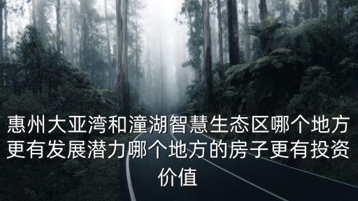 惠州大亞灣和潼湖智慧生態(tài)區(qū)哪個(gè)地方更有發(fā)展?jié)摿δ膫€(gè)地方的房子更有投資價(jià)值